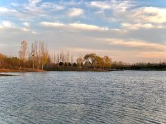 -东郊湿地公园