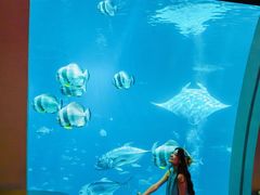 -圣淘沙名胜世界