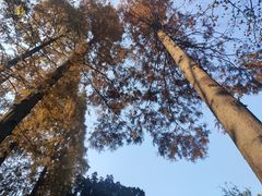 -巴金故居