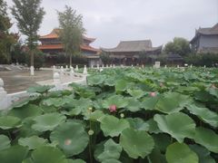 -大悲禅寺