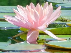 -白鹭湾湿地公园