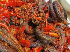 -盘龙黄鳝(盘龙居店)