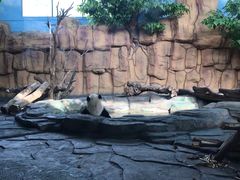 -泉州海丝野生动物世界