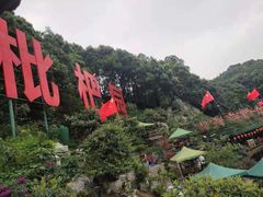 -枇杷园食为鲜火锅(南山店)