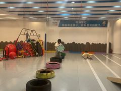 -金色雨林注意力记忆力感统情商思维(立丰国际店)