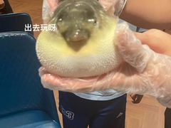 -肆月河豚·新淮扬(金融街店)