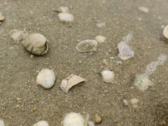 -北海金海湾红树林生态旅游区