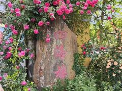 -四海楼(如皋定慧禅寺店)