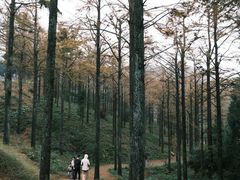 -四明山国家森林公园