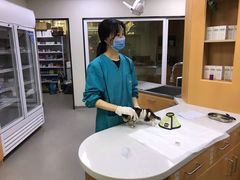 -联合动物医院(光谷诊疗中心)