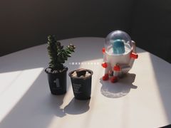 -泡泡玛特POPMART(天环购物中心店)