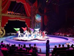 -珠海横琴长隆《卡卡虎奇遇记》