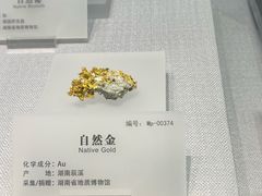 -湖南省地质博物馆