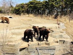 -沈阳森林动物园