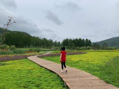 -塞罕坝国家级自然保护区