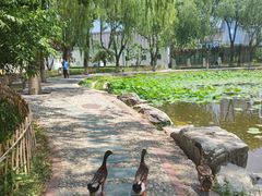 -丰台科技园生态主题公园