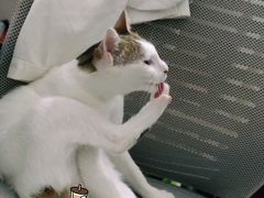 -宠颐生宠物医院外科·内科·皮肤科·影像科(石龙店)