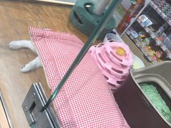 -狗道宠物(常熟印象城店)