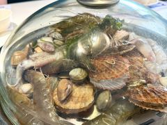 -大锅强·蒸海鲜青岛菜(金沙滩店)