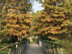-长广溪湿地公园