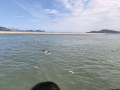 -刘公岛景区