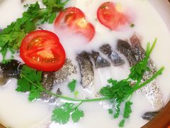 -全乐鱼馆·淳牌有机鱼直营店