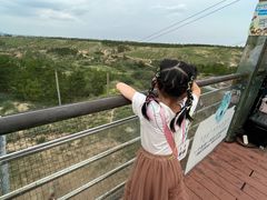 -鄂尔多斯野生动物园