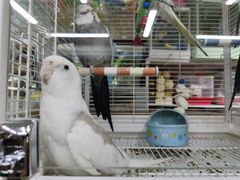 -三旗百汇商品城