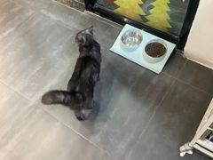 -乐果甜心·潮汕冰室(南澳后宅分店)