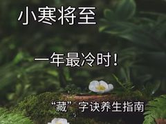 -世医堂推拿艾灸(淮海路店)