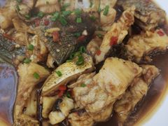-全乐鱼馆·淳牌有机鱼直营店