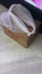 点击看大图 -星摇篮月子中心(市妇幼店)