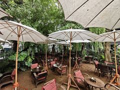 -Fern Forest Cafe