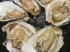 陈皮柠檬丝蒸生蚝-烧蠔帮·湛江生蚝(工农店)