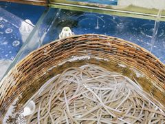 -东江海鲜酒家(艺都分店)