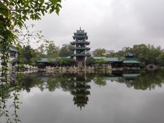 -桂湖森林公园