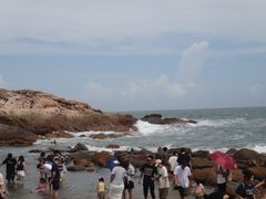 -广东惠东海龟国家级自然保护区