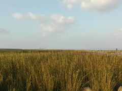 -南汇嘴观海公园