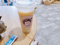 -楼上猫咖(罗湖店)