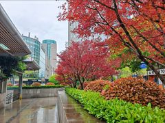 -南京路步行街