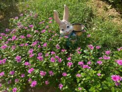 -雪绒花月子会所(祥盛店)