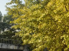 -辽宁大学(崇山校区)