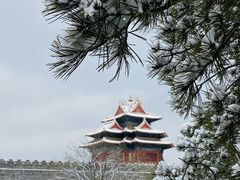 -颐和园