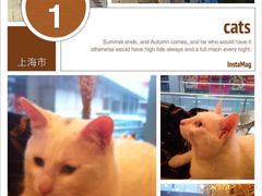 iphone_upload_pic-MIKAKU(万达广场上海宝山店)