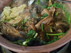-霞姐屯昌枫木香草鸭店(海螺店)