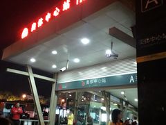 -奥体中心(地铁站)