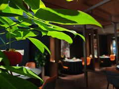 -肆月河豚·淮扬菜·湘菜(华天店)