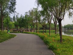 -东郊湿地公园