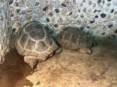 -上海大自然野生昆虫馆
