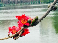 -东山湖公园